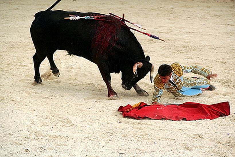 Franţa: Un toreador spaniol a fost ucis de taur în timpul unei coride după ce s-a împiedicat în ring