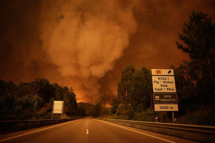 UPDATE - Portugalia: Zeci de morți și răniţi în urma celui mai mare incendiu de pădure din ultimii ani