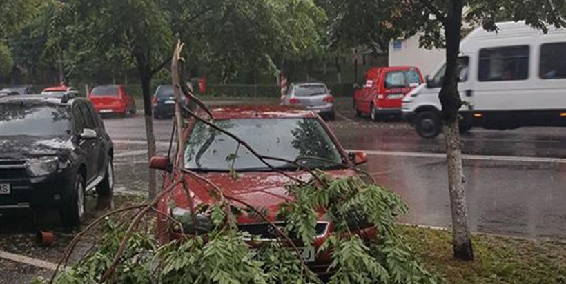 Maramureş: Copaci doborâţi şi maşini distruse în Baia Mare, în urma unei furtuni