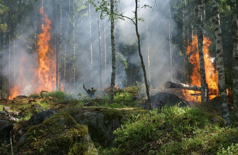   Incendiu într-un parc natural din Spania: Cel puţin 1.500 de persoane evacuate