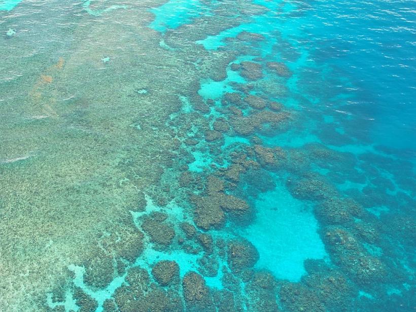 Australia: Valoarea Marii Bariere de Corali a fost estimată la 37 de milliarde de euro