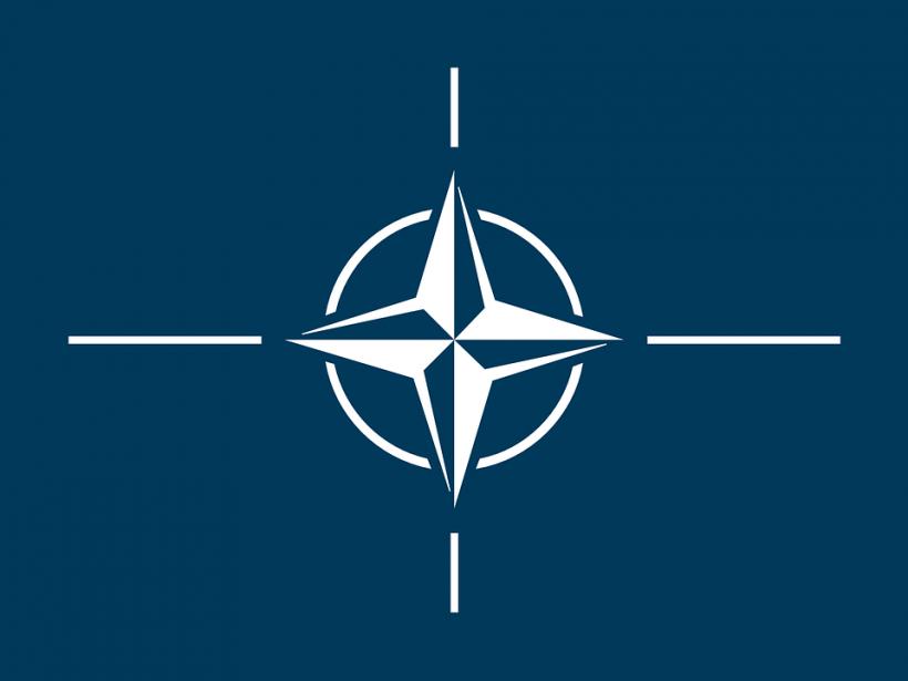 Preşedintele Comitetului Militar al NATO: Nu este clară atitudinea agresivă a Rusiei faţă de NATO