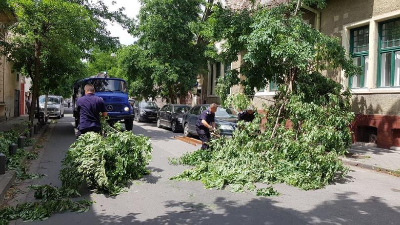 Cartiere din Arad și alte localități din județ, au rămas fără energie electrică după o furtună violentă
