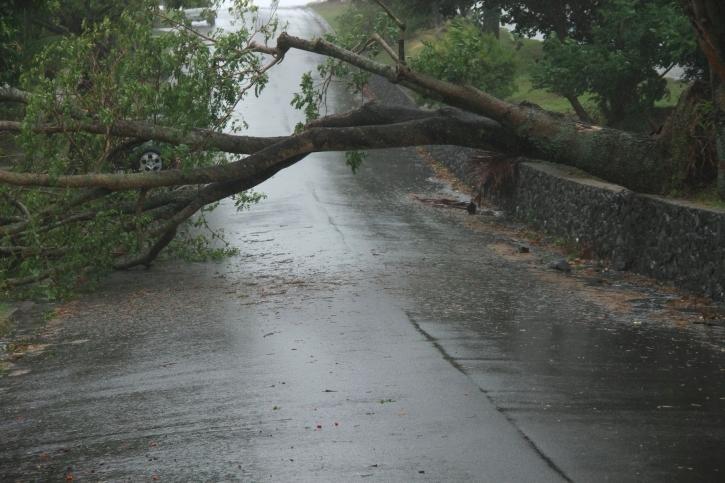 Furtună în Giurgiu: Acoperişuri smulse de vânt, case şi străzi inundate, copaci şi doborâţi de ploaie şi grindină  