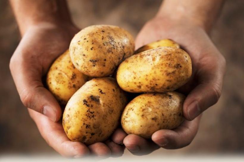 Prevenire cancer. Consumul de cartofi reduce riscul de apariţie a cancerului gastric (tratamente naturiste)