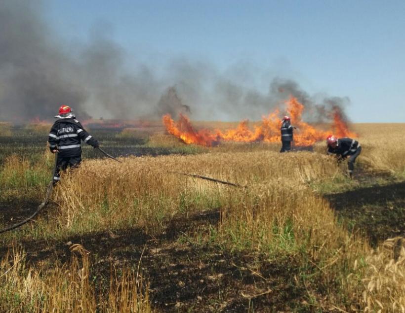 Tulcea: Aproape 60 de hectare de grâu, incendiate