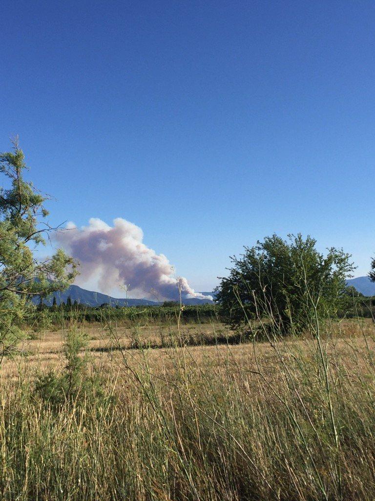  Incendiu de pădure violent, la graniţa franco-spaniolă. Peste 150 de hectare au fost afectate