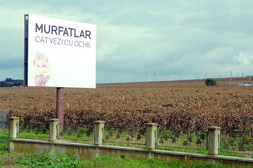 Celebrul brand Murfatlar a ajuns pe mâna unor afacerişti obscuri
