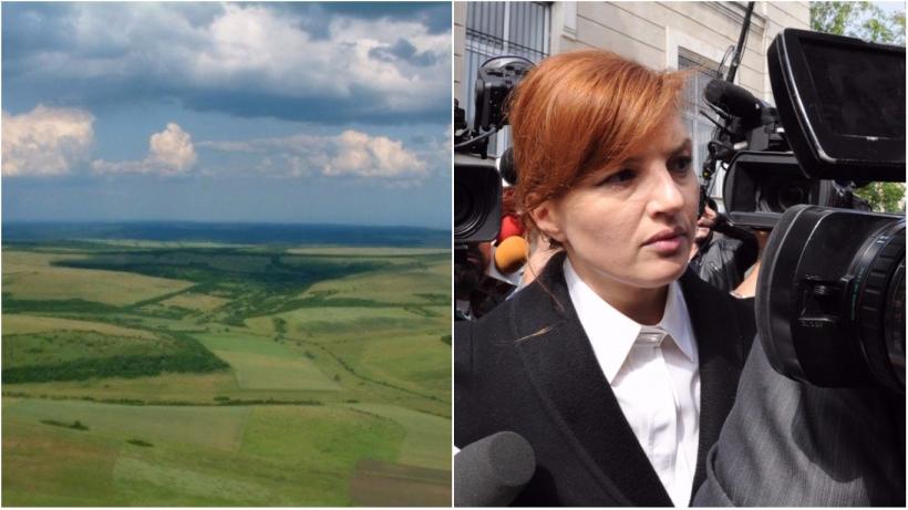 Amănunte incendiare cu privire la istoricul moșiei lui Băsescu. Rețeaua mamă-fiică-soacră din Afacerea Nana 