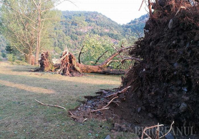 GALERIE FOTO - Cum arată dezastrul pe care furtuna violentă l-a lăsat în urmă în campingul din Bihor