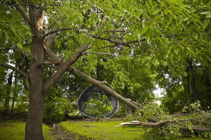 Ialomiţa: Bilanţul furtunii - remorcă răsturnată, copaci căzuţi peste o linie electrică şi peste autovehicule