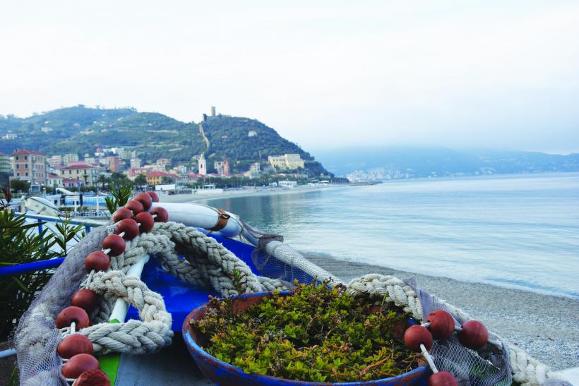 Cum ajungi în 5 țări, în 5 zile, cu un buget redus 18583524