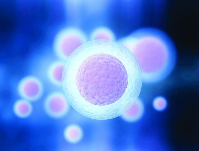  Premieră mondială:Cercetătorii au corectat anumite gene defectuoase ale unor embrioni umani