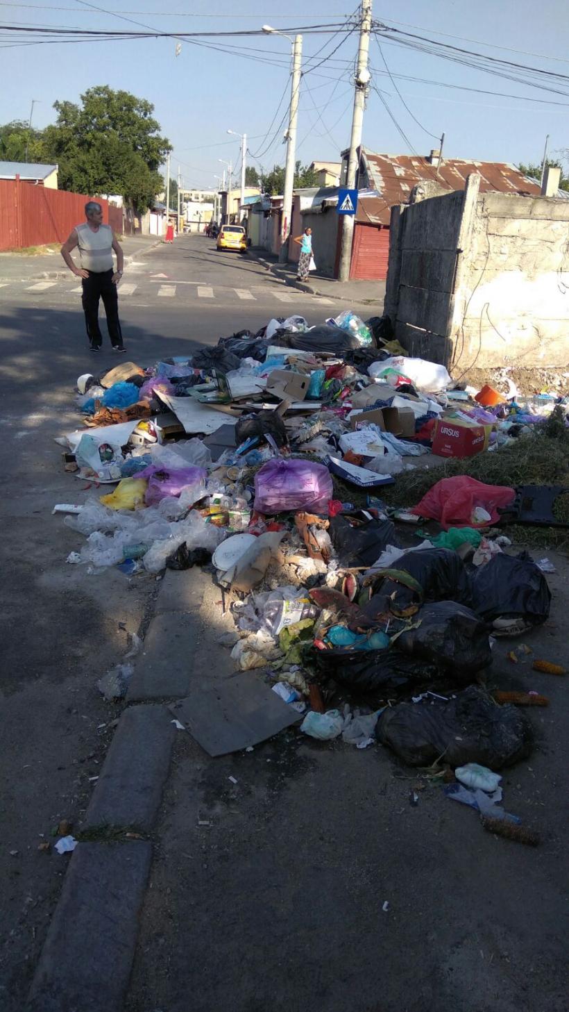 370 de zone transformate în depozite de gunoi. Firmele de salubritate au fost amendate