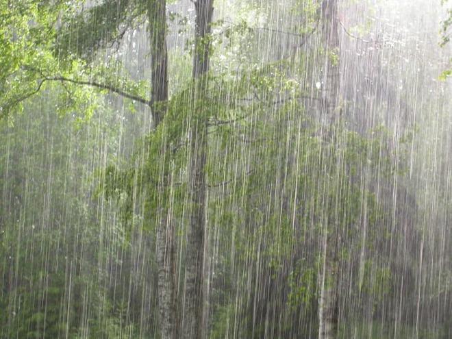 Alertă de la meteorologi: Când apar ploile în București