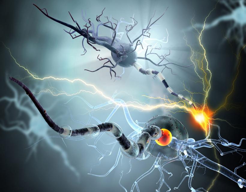 Furtuna electrică din creier