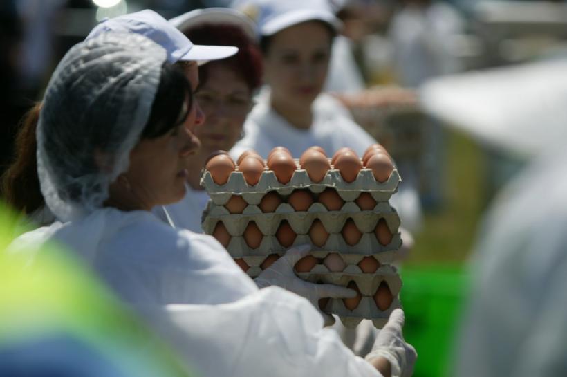 Comisia Europeană: 15 state din UE , alături de Elveţia şi Hong Kong, afectate de scandalul ouălor contaminate cu insecticid