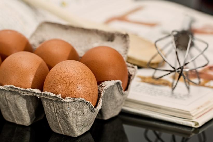 Ouă potenţial contaminate cu insecticid, găsite în Polonia