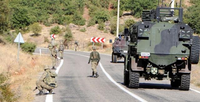 Turcia: Doi soldaţi turci, ucişi într-o explozie în sud-estul ţării