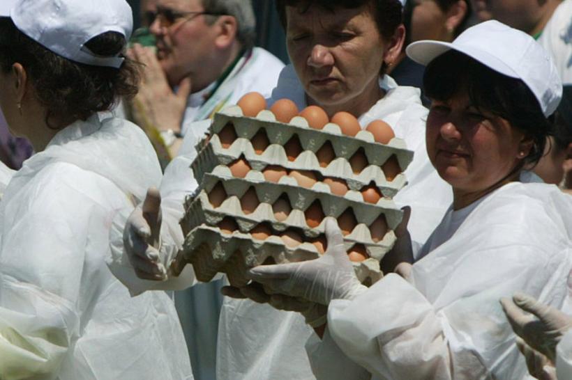 Scandalul ouălor contaminate, un dezastru pentru Olanda însă o ocazie pe care rivalii o vor exploata