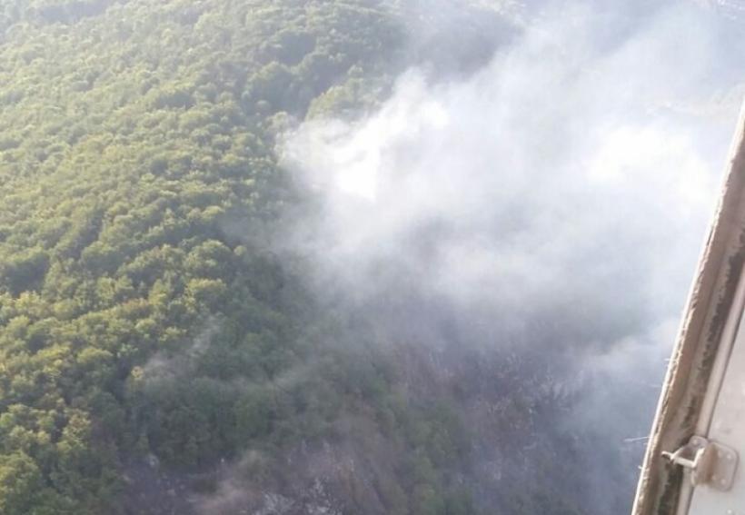 Arde pădurea la Hunedoara! Incendiu de vegetaţie într-o zonă greu accesibilă pentru pompieri