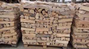 Senat: Exportul de lemne, interzis pentru patru ani