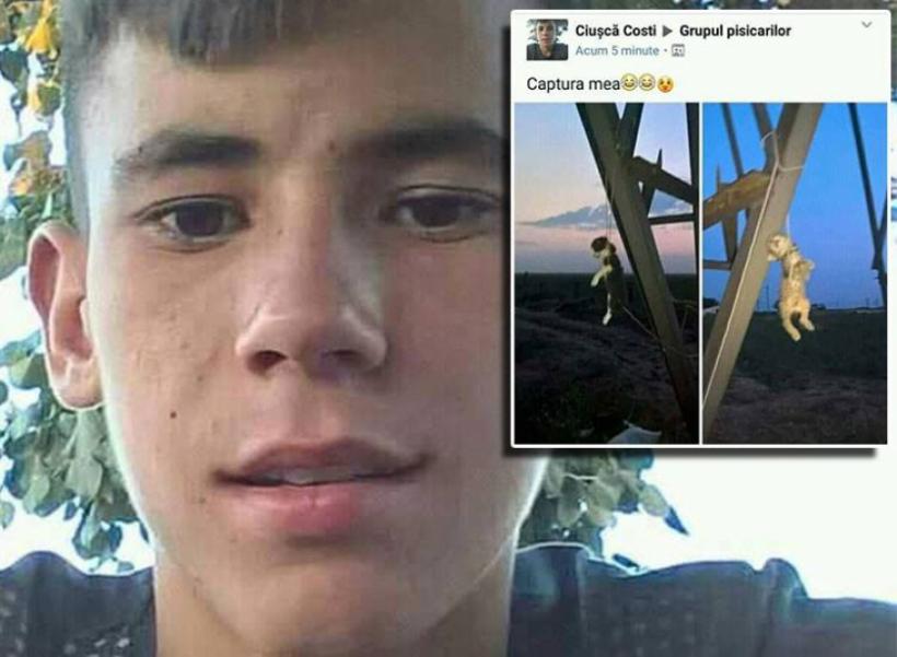 Un adolescent din Mehedinți se laudă că ucide animale cu sânge rece după care posteaza imaginile pe Facebook