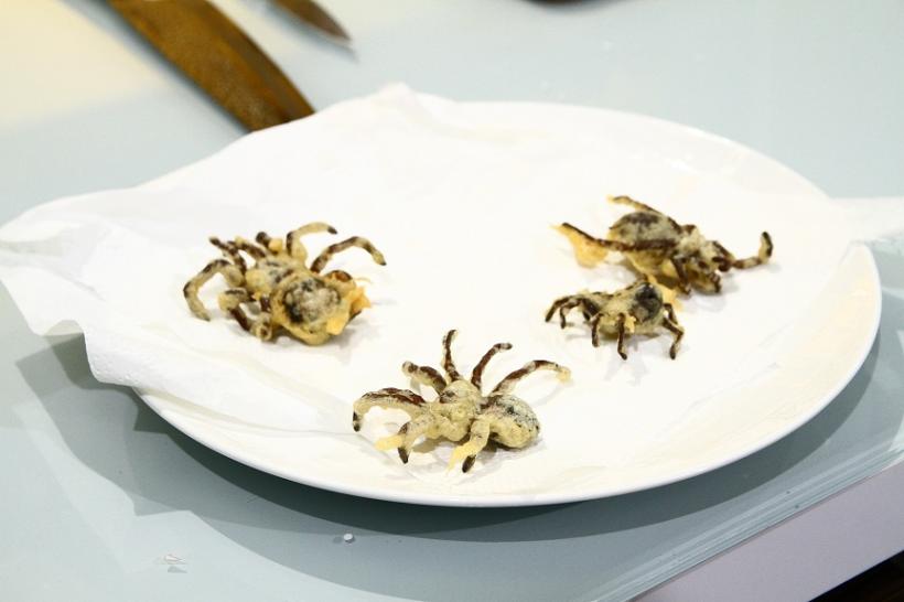 Tarantule tempura, carne de cămilă la grill și salată cu viermi de mătase în sezonul 4  „Chefi la cuțite”