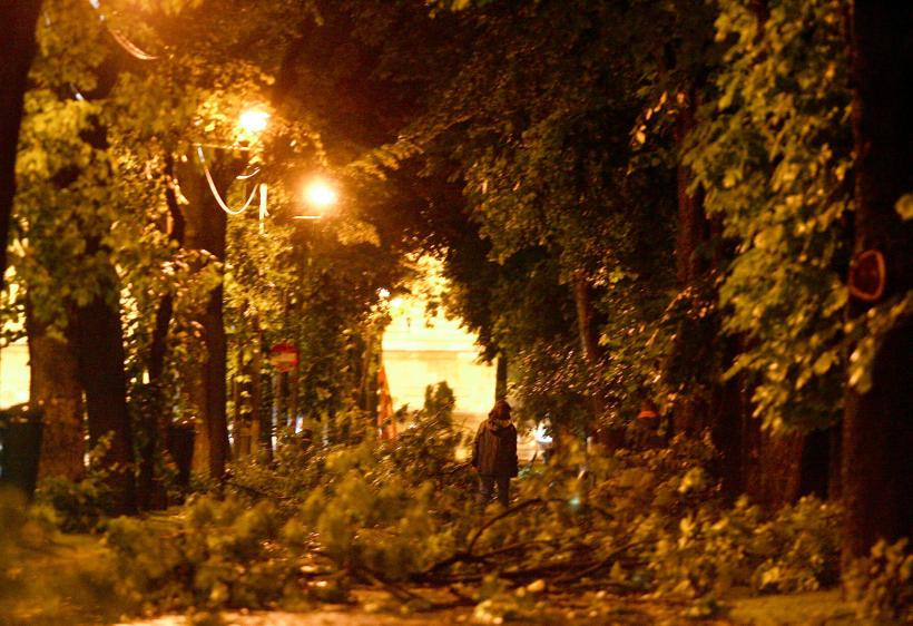 Bărbat decedat în Bucureşti, după ce un copac a căzut peste el