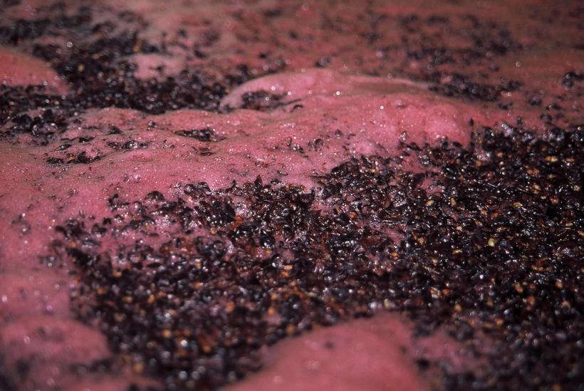 Un bărbat a murit intoxicat cu gazele emanate de vinul aflat în fermentaţie