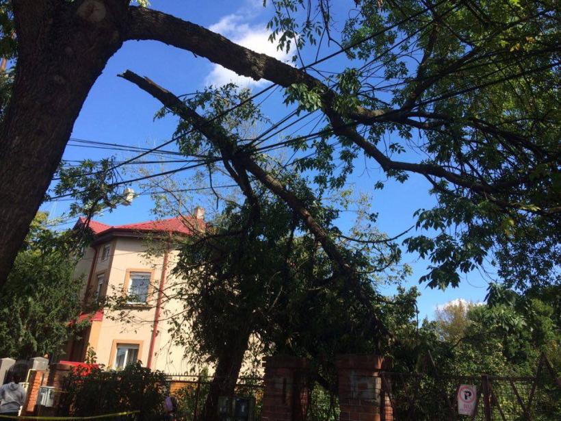 FĂRĂ CURENT ELECTRIC, 86 de străzi din Timișoara la 5 zile după furtună