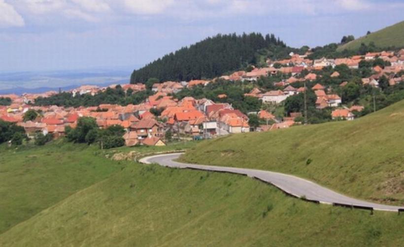 Judecătoria Balş schimbă în totalitate sentinţa privind terenurile din satul arădean Nadăş