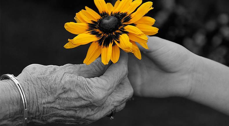 Campania &quot;Flori pentru Suflet&quot; cu ocazia Zilei Internaţionale a Persoanelor Vârstnice