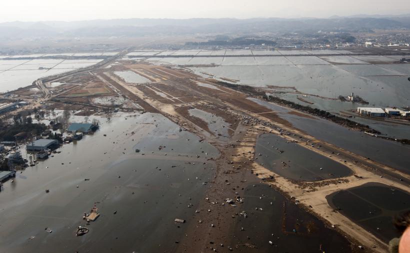 Milioane de creaturi marine au ajuns în SUA, până acum, după tsunamiul din Japonia din 2011