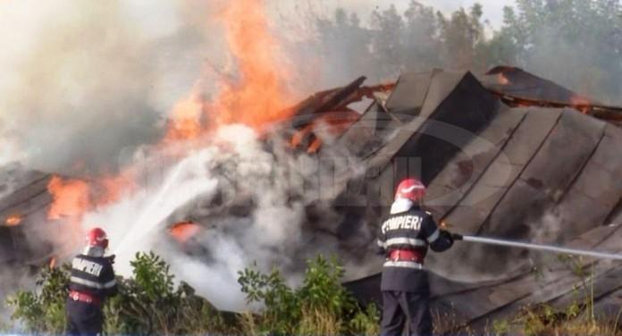 Buzău: Incendiu generalizat la o hală industrială din localitatea Spătaru
