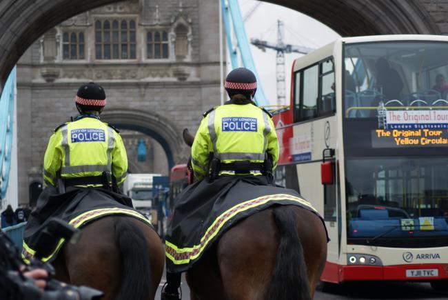 Şoferul maşinii care a lovit mai mulţi trecători de lângă Muzeul de Istorie Naturală din Londra a fost eliberat sub control judiciar