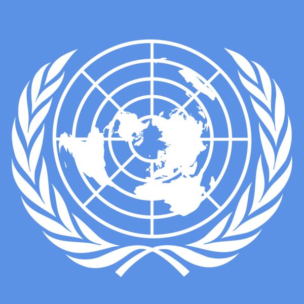 Washingtonul pe cale să aducă un nou afront ONU