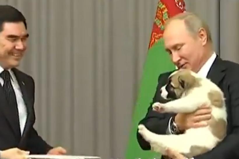 VIDEO - Mare iubitor de câini, Vladimir Putin a primit cadou un cățel