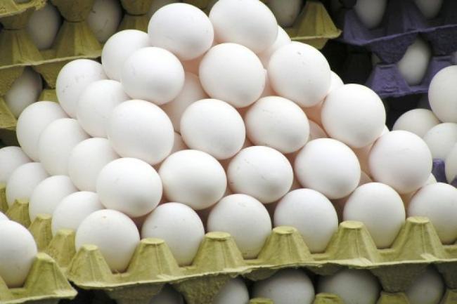 Exporturile de ouă ale României în UE sunt inferioare celor din Bulgaria, Lituaniei sau Letoniei