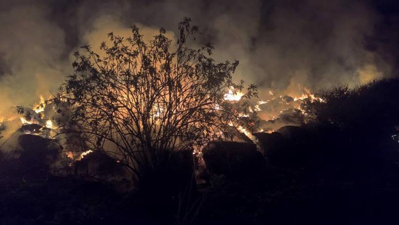Incendiu puternic la un depozit de furaje din Timiș