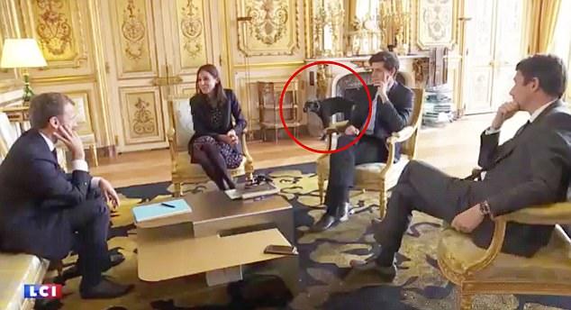 VIDEO - Câinele președintelui francez, surprins într-o transmisie în direct, în timp ce urina pe un șemineu din Palatul Elysee