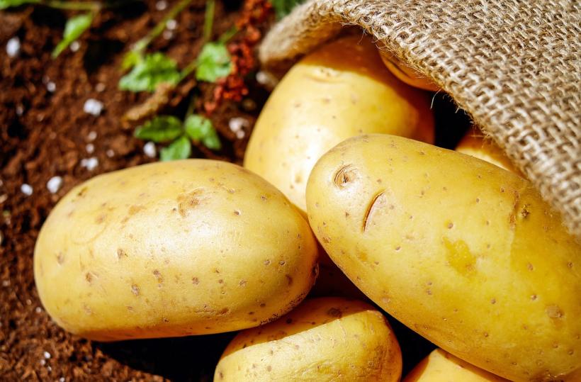 Cartoful, leguma-medicament pentru organismul tău