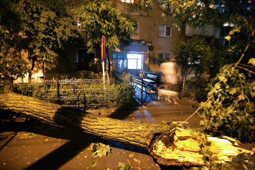Dezastru în București din cauza vijeliei, 65 de copaci s-au prăbușit iar 45 de mașini au fost avariate