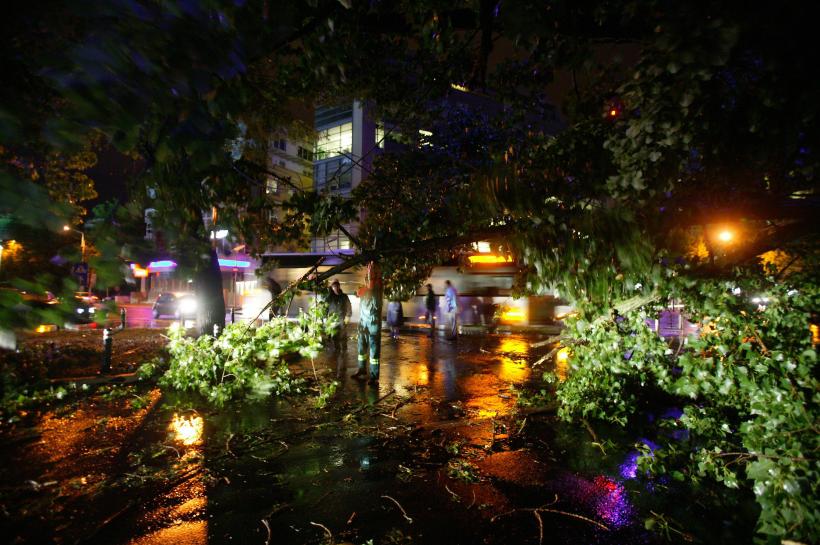 Un copac a căzut peste o aripă a spitalului Obregia. 8 pacienți au fost mutați