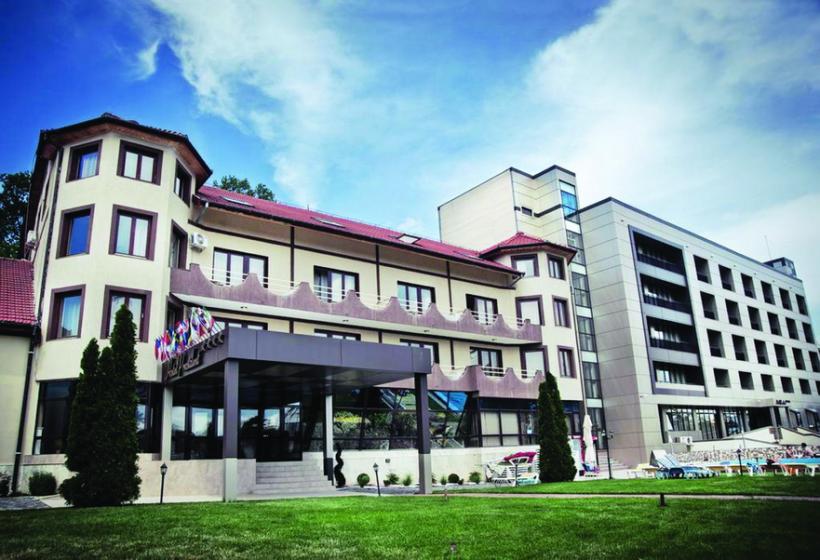 Sindromul IT-istului, tratat la Băile Felix 18591753