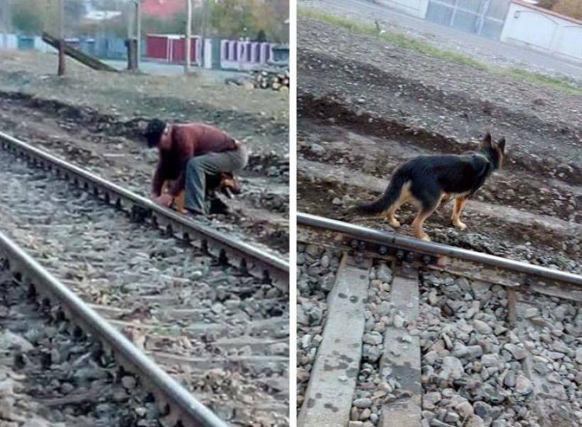 Șocant! Un bătrân din  Neamţ şi-a legat câinele de calea ferată pentru că s-a săturat de el 