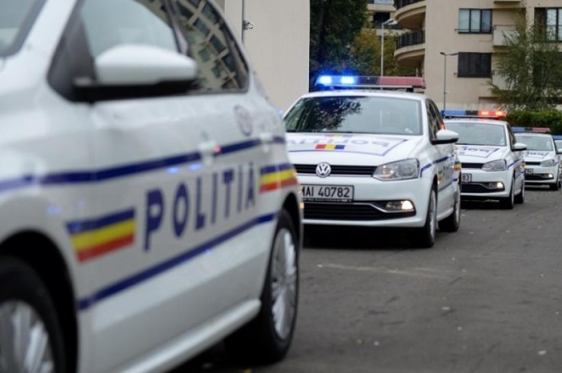 Funcţionari publici din Argeş, arestați într-un dosar privind infracţiuni silvice