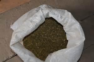 Mureş: Peste o tonă de tutun şi o moară de mărunţit, confiscate în urma unei percheziţii la Luduş 