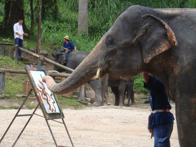 Ungaria. Operele unui elefant care pictează, vândute la licitație
