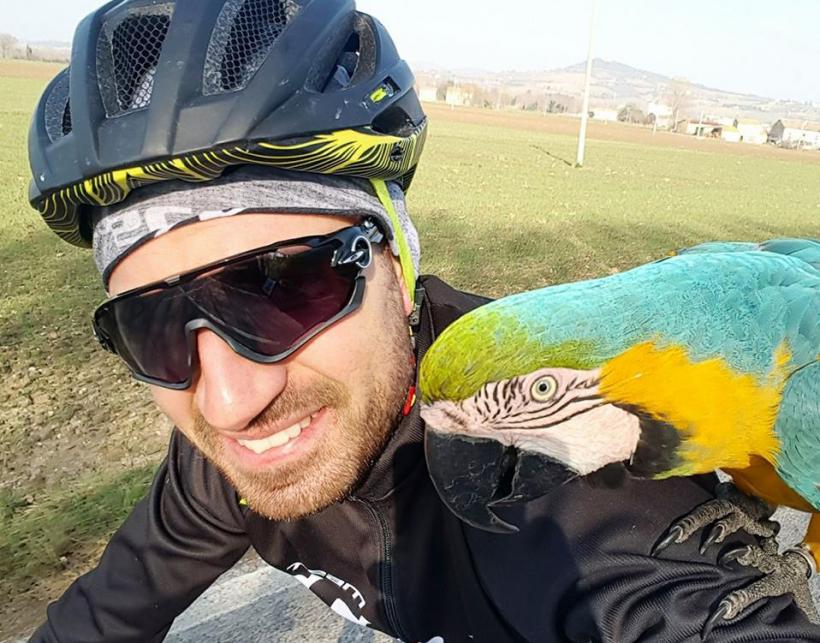 VIDEO - Cel mai faimos papagal din Italia își însoțește stăpânul peste tot